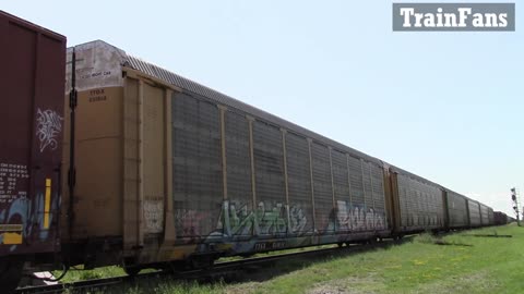 TRAIN 382 - CN 3843 & CN 5763 Engines Manifest Train Eastbound In Ontario