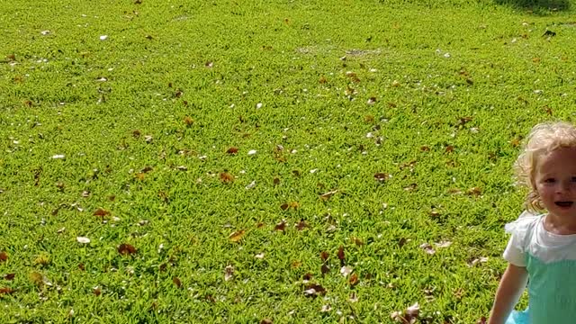 Lily and Layla at our home in Florida