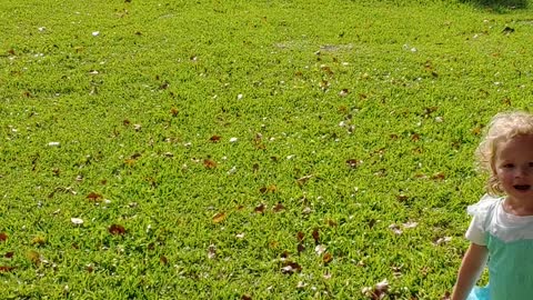 Lily and Layla at our home in Florida