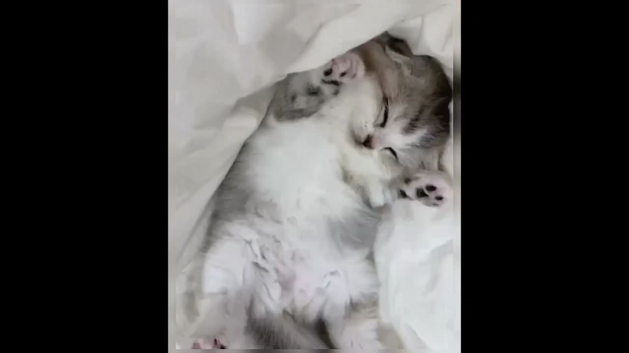 Today is another lazy day; I just want to curl up on the sofa.