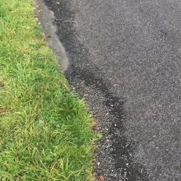 Girl hanging onto scooter motoryccle on skateboard falls onto cement laugh floor concrete