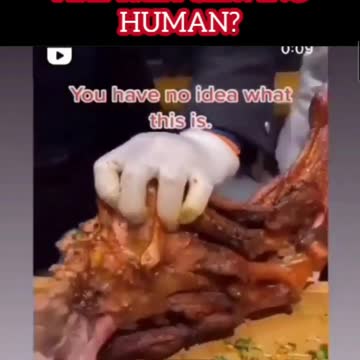 Are they serving HUMAN?