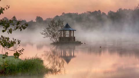 The sound of birds, crickets, and frogs can be heard.