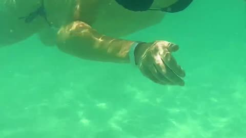 Bikini Girl's Seawater Marine Biology Tour