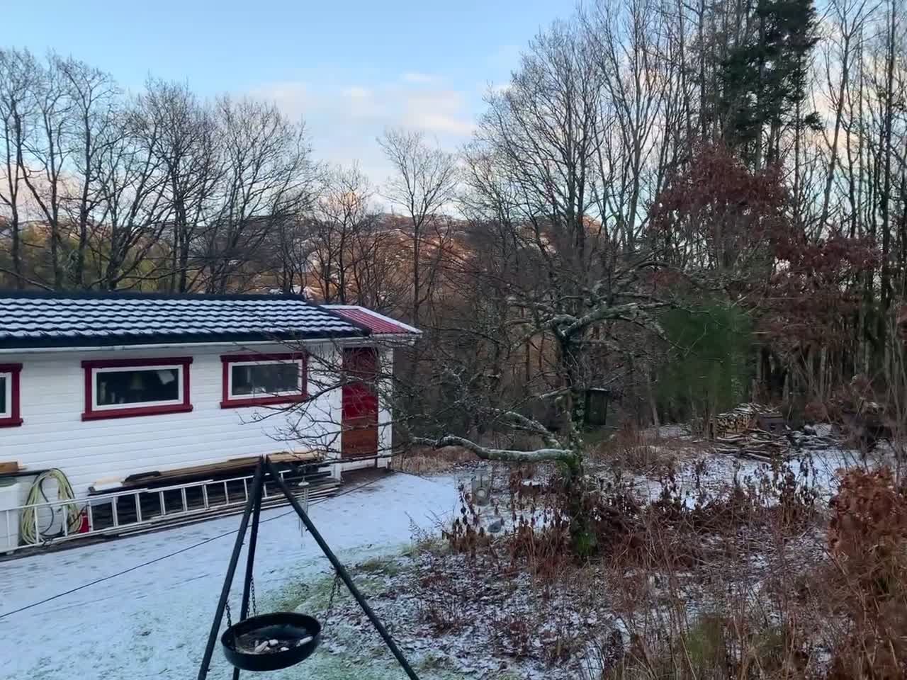 Eikely på Rosedal , Øvrabø , Hå nytt Dekratak