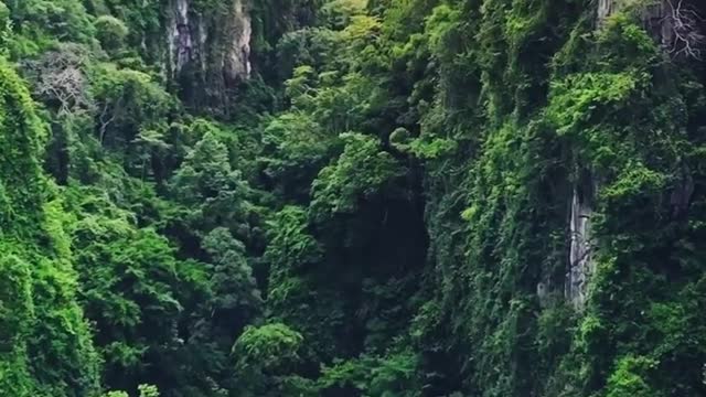 Nature 💙