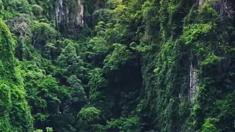 Nature 💙