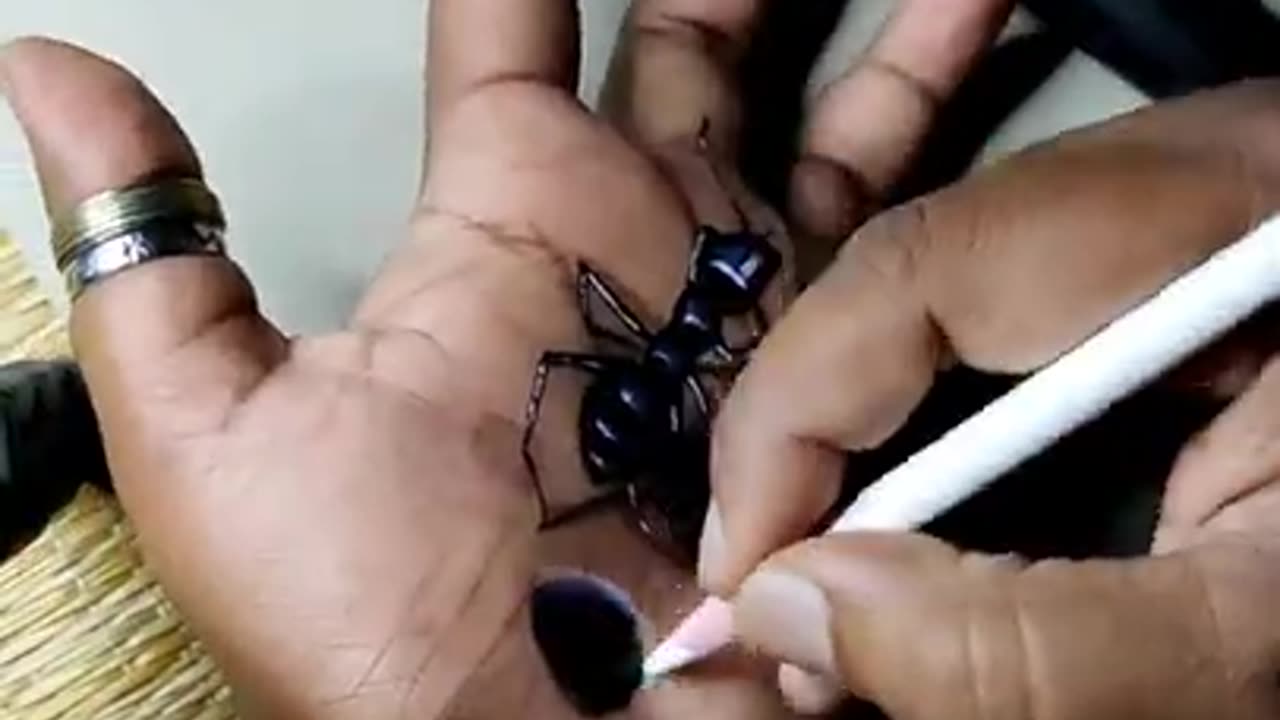 3D image