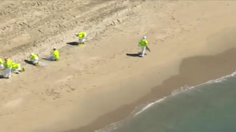 U.S. Coast Guard on CA Pipeline. "Pipe 4000' Laterally Displaced 100' No Oil Coming From Split".