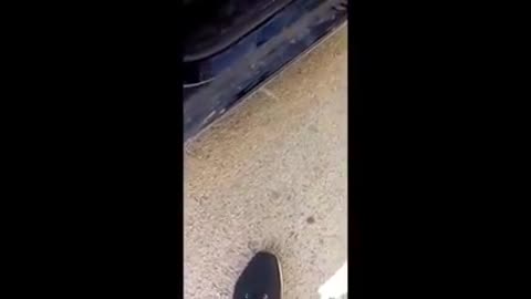 In fase di controllo, sentite cosa risponde questo carabiniere!
