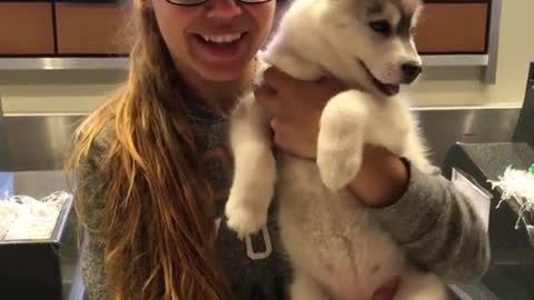 Lovely dog is man's best friend