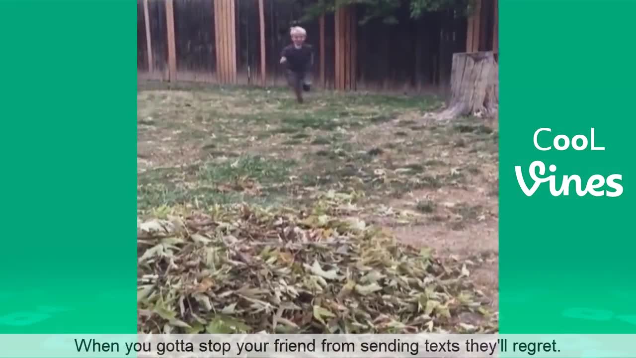 Funny Cat & Dog Vines compilation