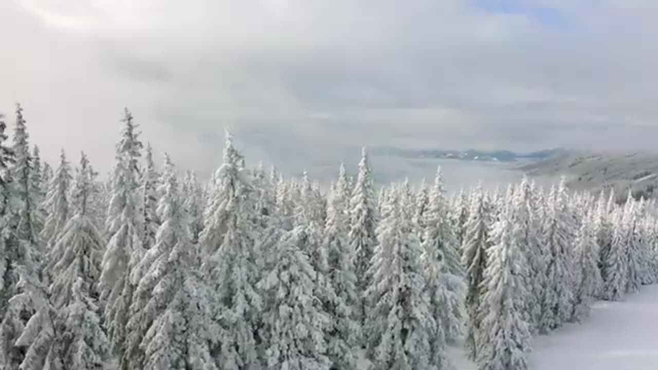 New weather video