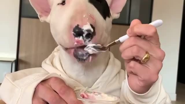 I really hope you’re enjoying your weekend as much as this pup is enjoying this snack. 😂
