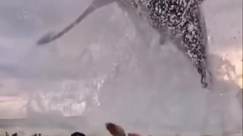 The newly amazing video creator is out now graphic designs with VFX