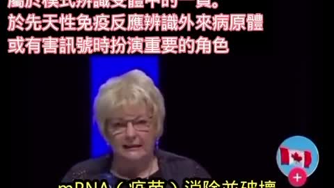 疫苗是如何傷害免疫系統