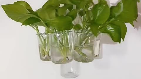 Vase made of waste plastic, DIY