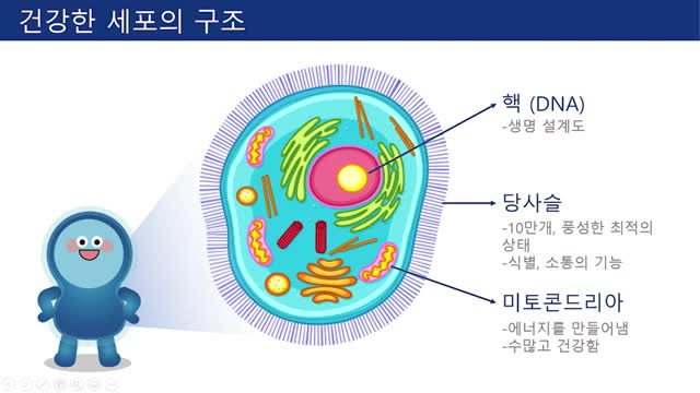 20200728_[펌] [His Story-주님이야기] [GMO3 유전자변형식품] 예방법 모든 사람을 GMO의 악몽에서 건져내라