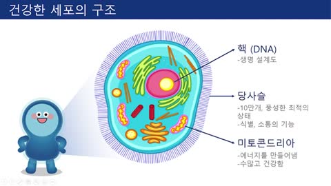 20200728_[펌] [His Story-주님이야기] [GMO3 유전자변형식품] 예방법 모든 사람을 GMO의 악몽에서 건져내라
