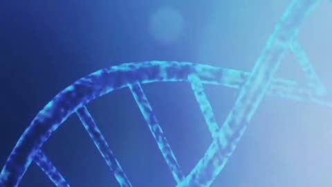 Discover the Perfect Diet for Your DNA 🧬