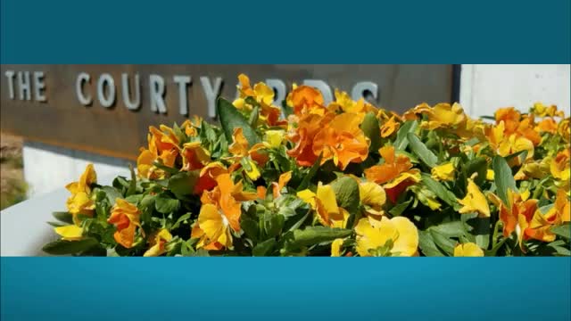 • Manhattan KS lawn care service