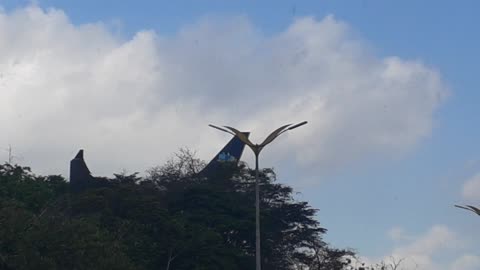 Airbus A330 PR-AIW coming from Guarulhos before to land in Manaus (07/14/2021)