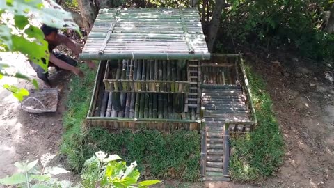 Build Beautiful Bamboo Wild Dog's Villa House