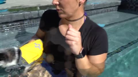Teaching your Dogs How To Swim :)