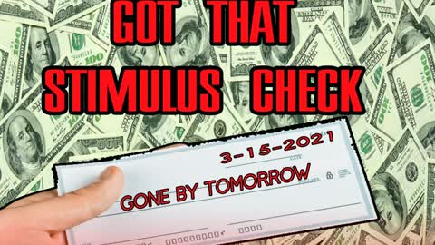 DiD Your Stimulus Check Change Your Life?