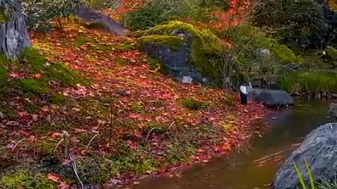 Nature Beauty Akash97 Relexing Music video