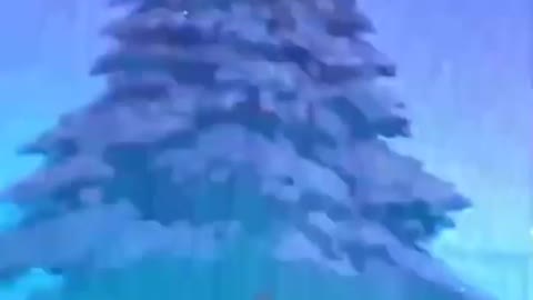 I wish you all a wonderful Happy new year And merry Christmas