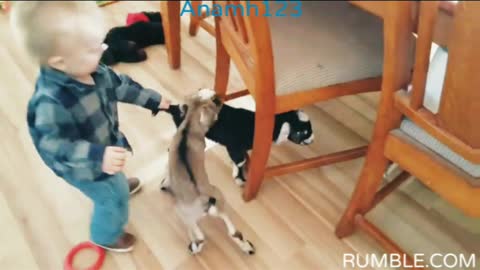 Baby Dance | Funny Baby Video