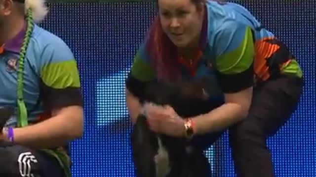 FLYBALL FINAL AT CRUFTS 2020