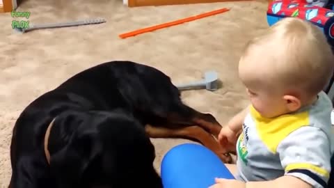 Animals playing with baby