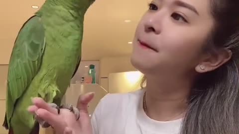 Talking parrot 🦜