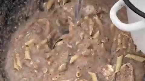 How To Make Fast and Easy Delicious Food For Dog