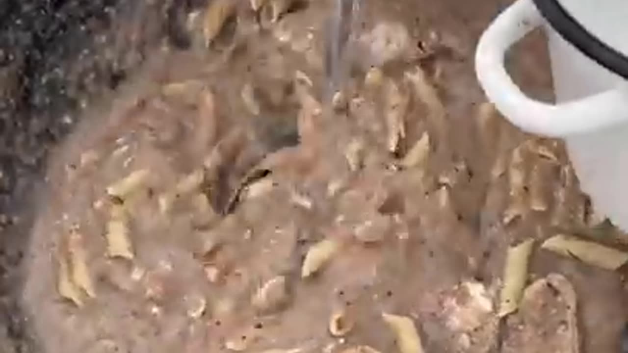 How To Make Fast and Easy Delicious Food For Dog