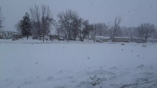 IT'S SNOWING SNOW BLOBS IN ILLINOIS