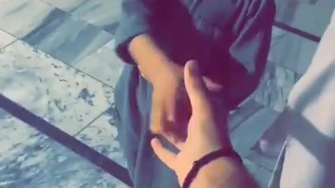 Funny video