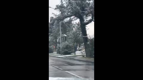 Сухуми - Sokhumi - სოხუმი - 19.01.2021