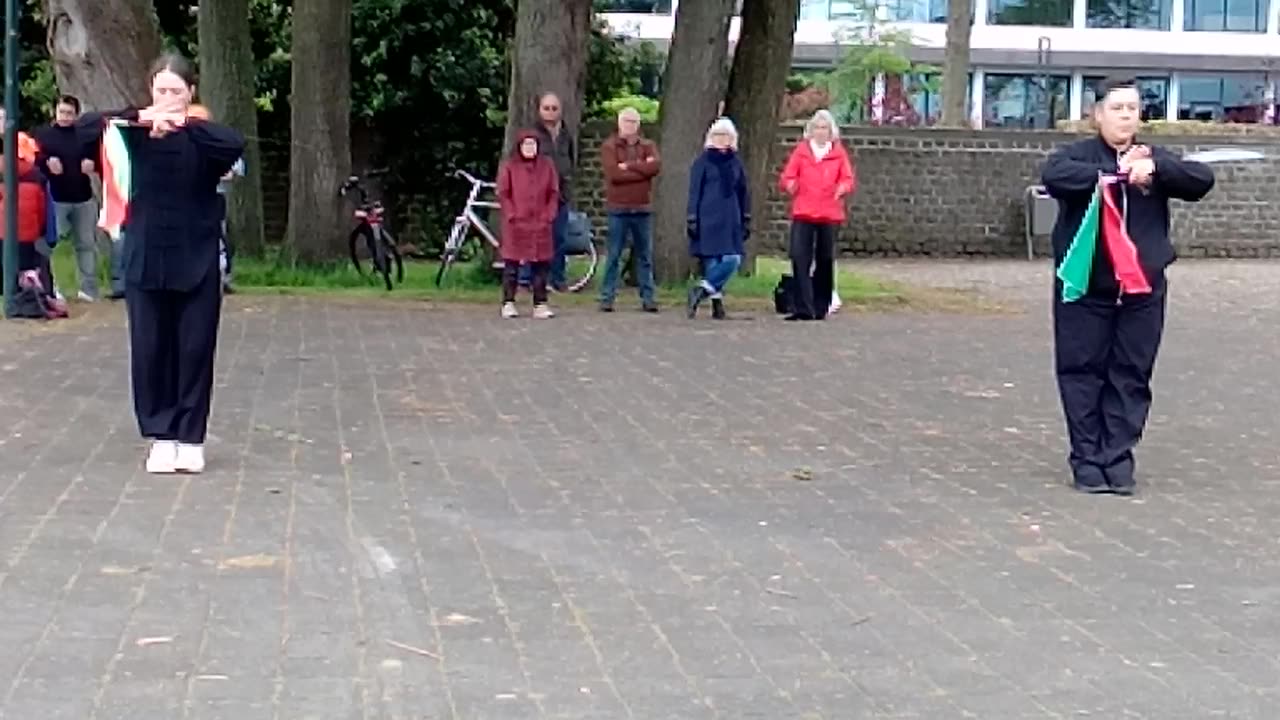 World Tai Chi Day 2024 - Zwolle (3 of 3)