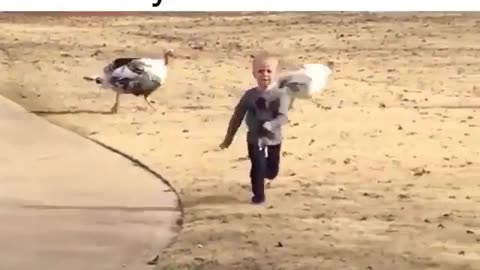 Kid Running From Turkey Fail