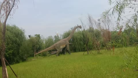 Did dinosaurs in the distance eat grass?