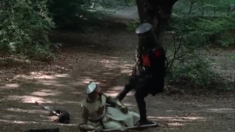 Black Knight Monty Python tis but a scratch