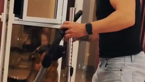 A dog saved a man from a vacuum cleaner
