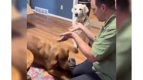 Magic Tricks