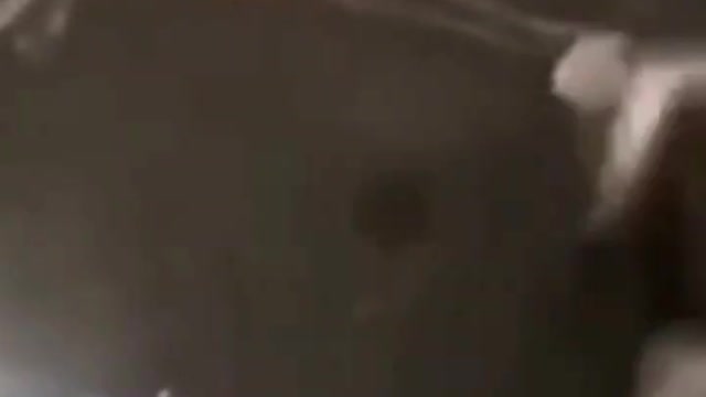 .Cute Cats๐ป๐ป๐น๐น๐น#shorts #funnycats #animalsshorts