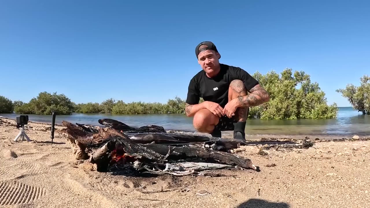 Catch And Cook In Mangrove Forest With Hand Spear_