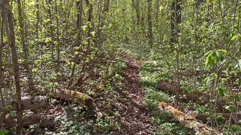 Latorps ängar. Naturreservat. 8 Maj 2022