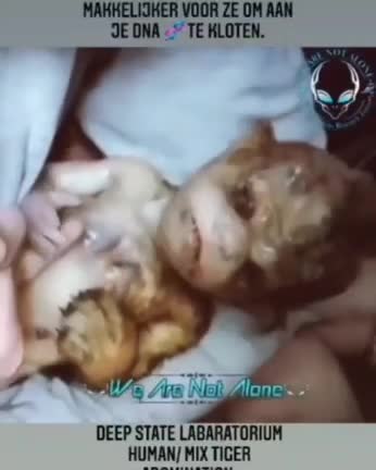 DUMBS - CLONING IS REAL - HUMAN MIX TIGER - I